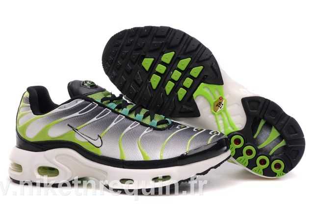 Nike Tn 2010 Grise